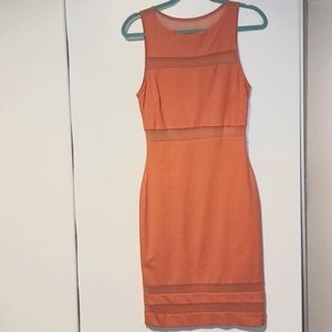 Bebe bodycon dress